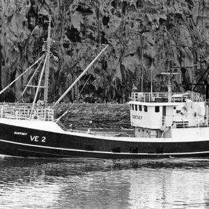 mynd_20250